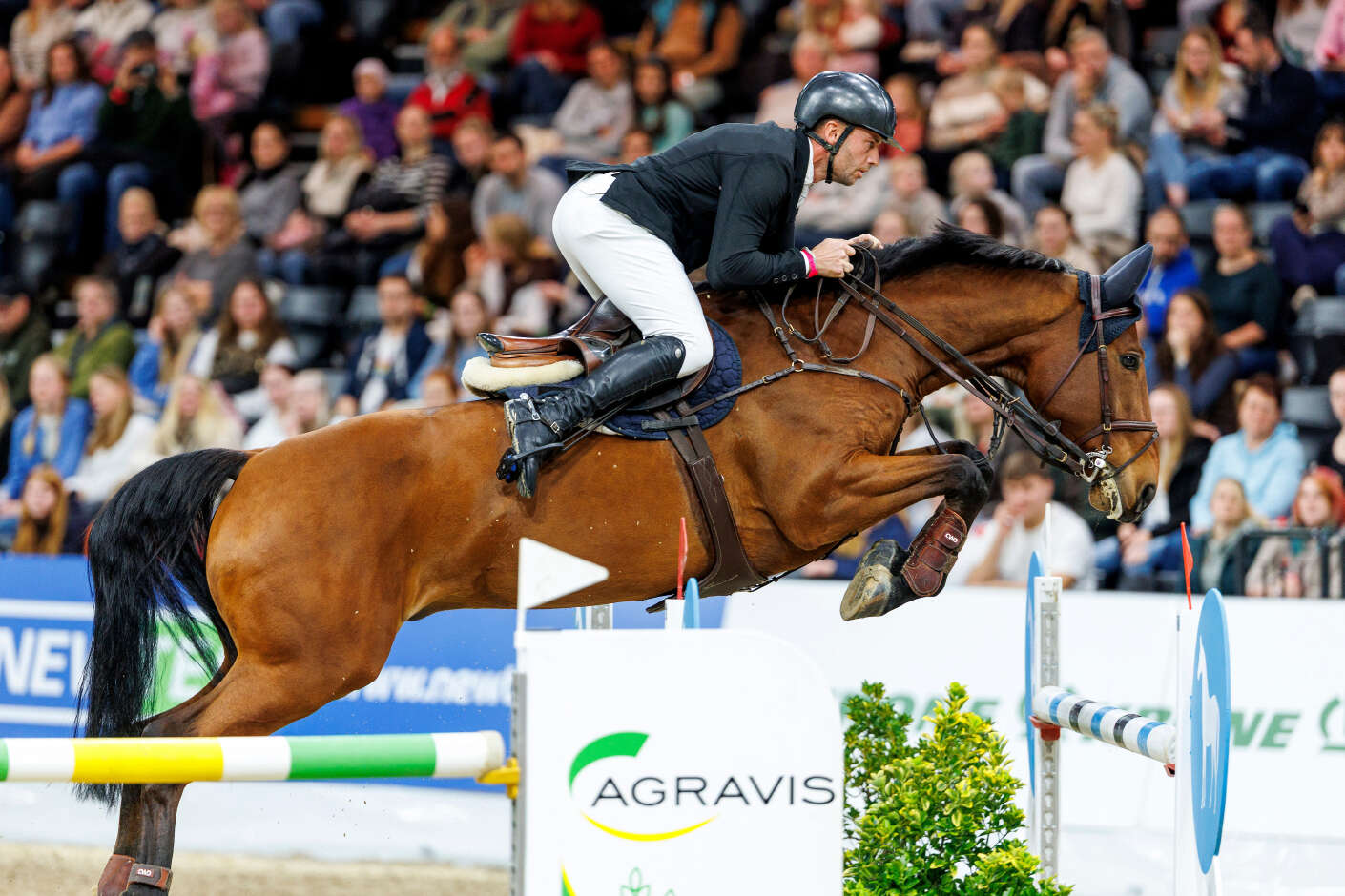 AGRAVIS-Cup Oldenburg 2025 Großer Preis