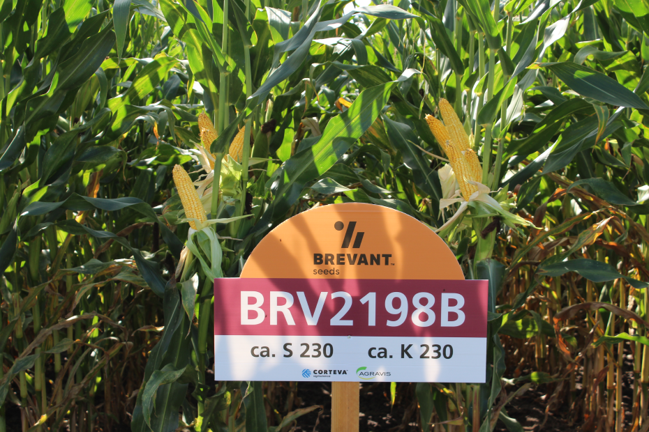 Ein Schild von Brevant steht vor Mais.