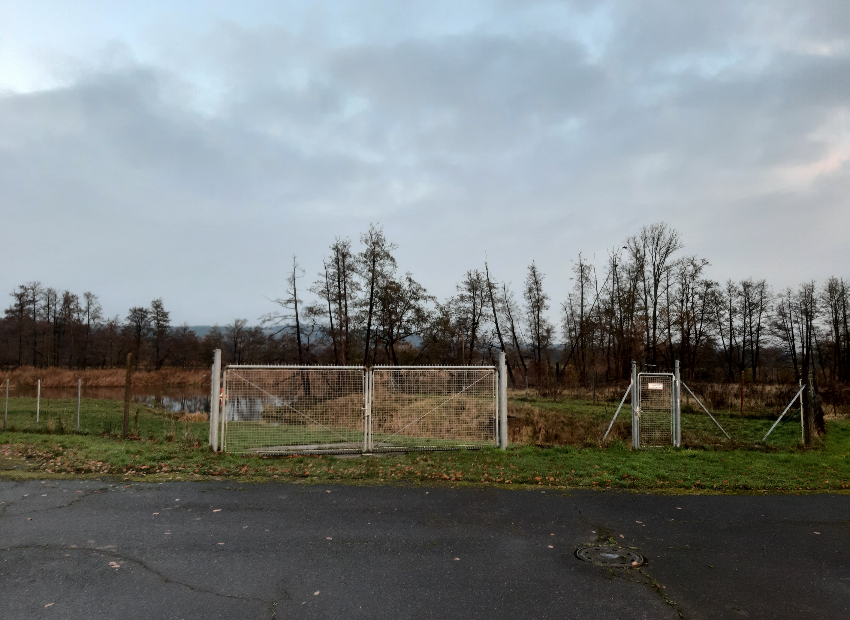 Metallzaun vor Wiese mit kahlen Bäumen und grauem Himmel.