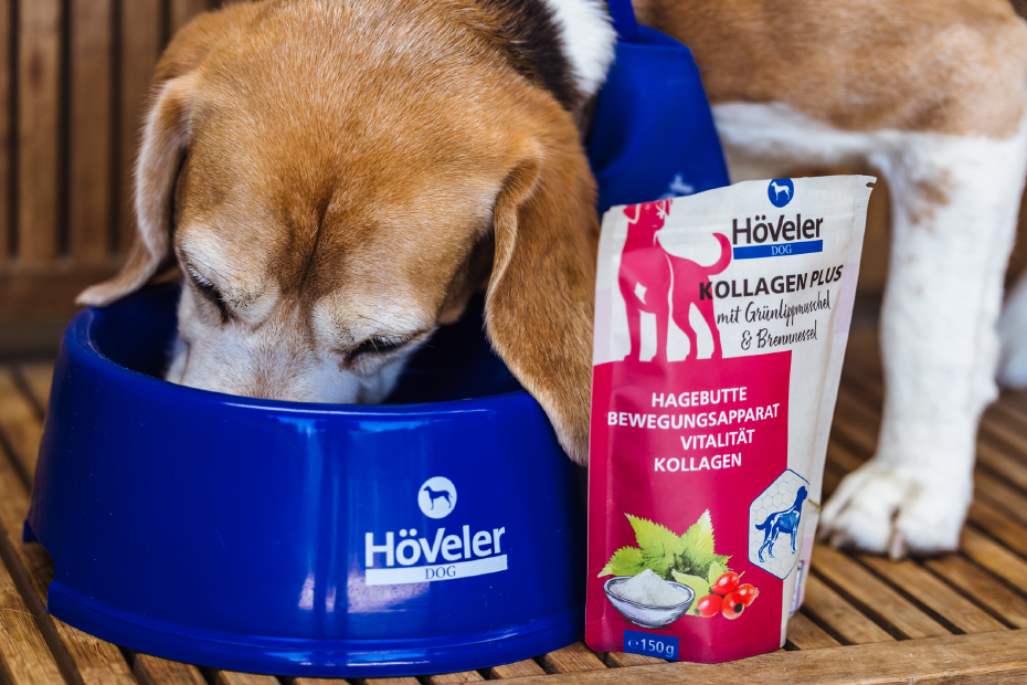 Hund frisst aus seinem Napf, daneben steht ein Beutel Höveler DOG Kollagen Plus