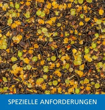 Kachelnavi spezielle Anforderungen startseite