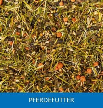 Kachelnavi pferdefutter startseite