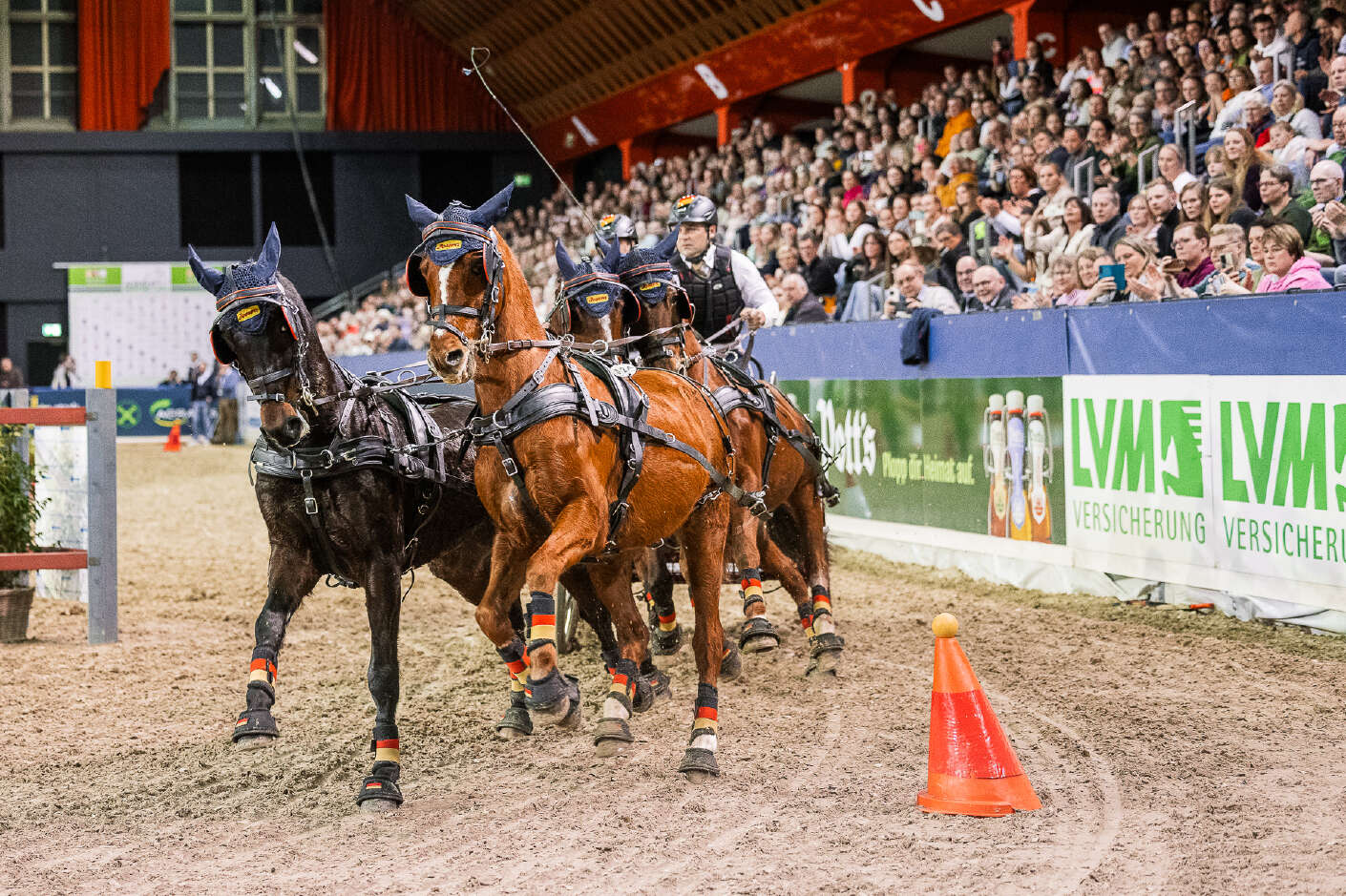 Steffen Brauchle mit seinem Vierspänner im Hindernisparcours.