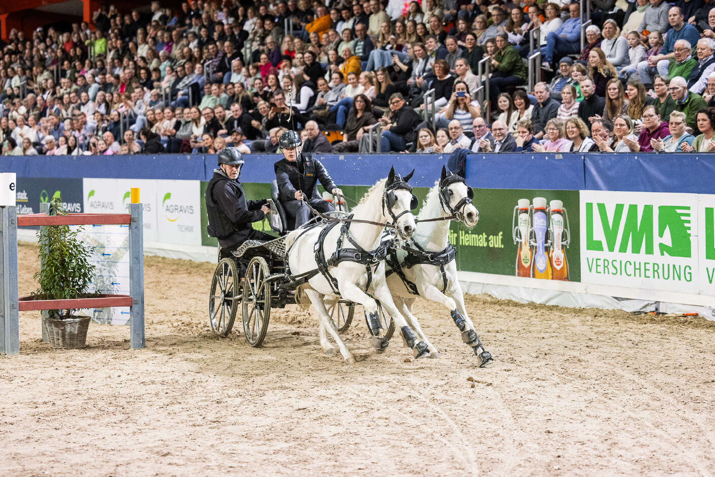 Larissa Reints mit ihrem Zweispänner in der Halle Münsterland.