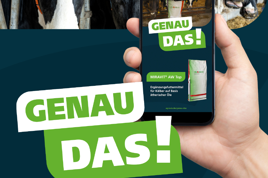 Eine Hand hält ein Handy mit einem Bild von Kühen im Stall und Slogan "genau das!"