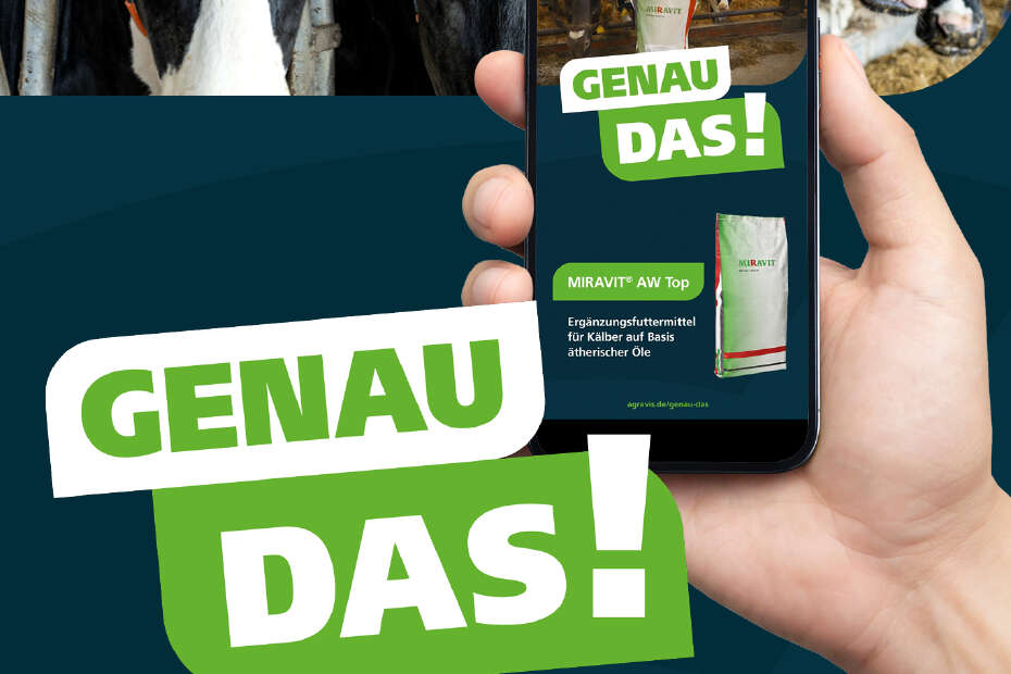 Eine Hand hält ein Handy mit einem Bild von Kühen im Stall und Slogan "genau das!"