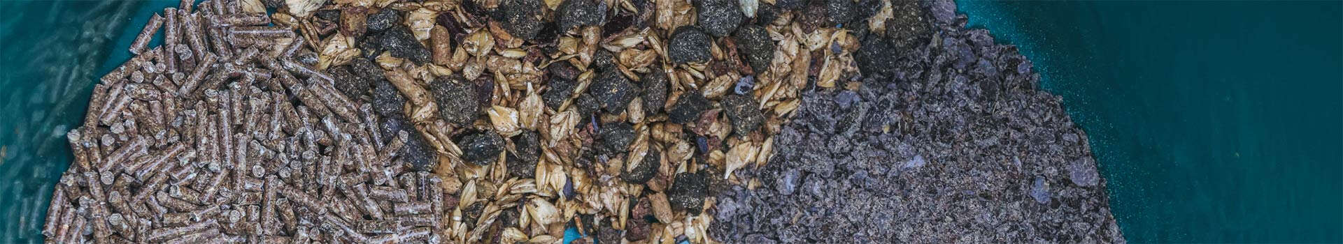 NABE Web Fuetterungsberatung Banner 1920x350px