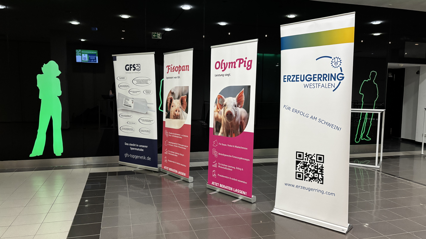 Vortragsveranstaltung Think Pink für Schweinehalternde 