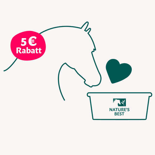 NABE Web Startseite Icon 500x500 L2