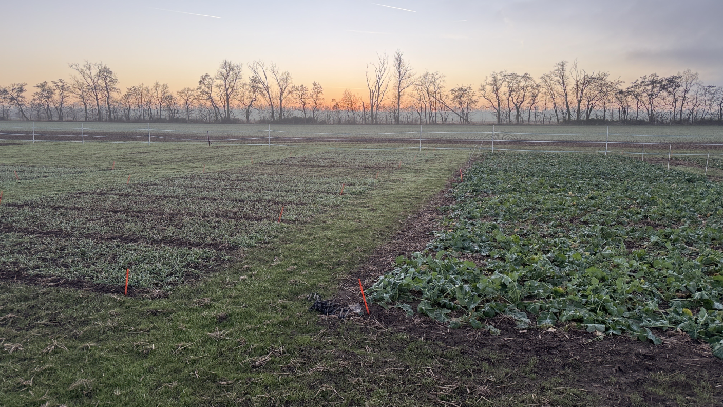 Eindrücke von den Vorbereitungen der DLG-Feldtage