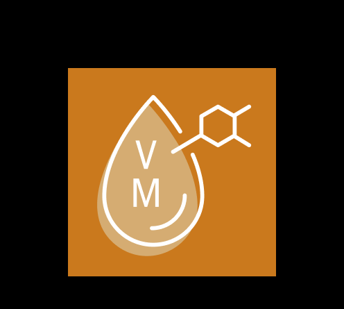 Uebersichtsseite Icon Vitamine