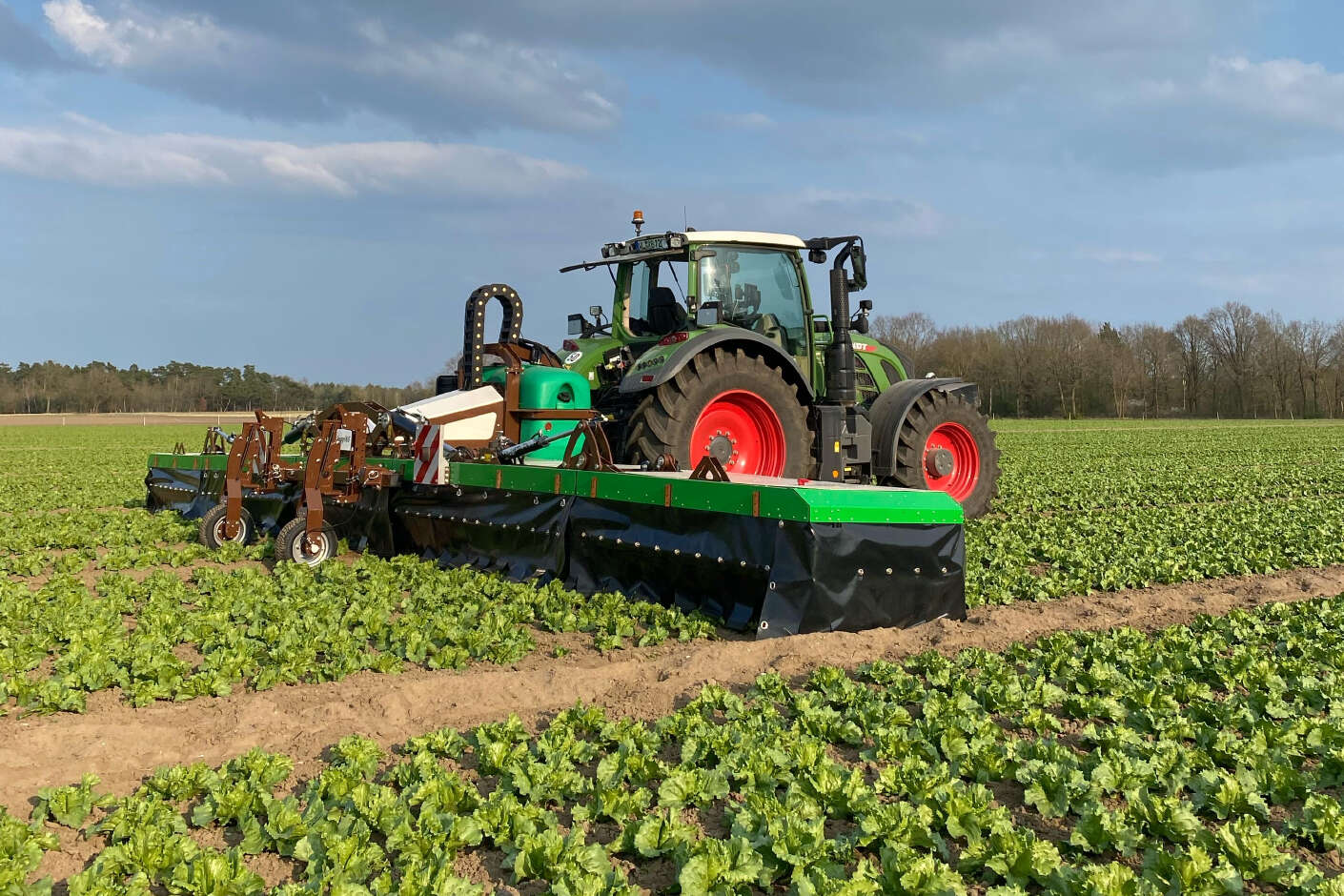 Fendt Traktor mit Farm-ING Spotsprayer bei der mechanischen Pflege im Salatfeld