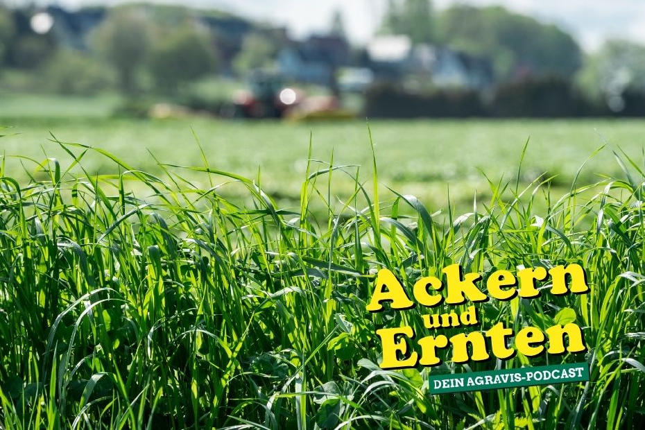 Podcast-Cover Ackern und Ernten mit Grünland