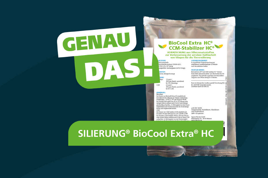 Eine silberne Produktverpackung vor blauem Grund