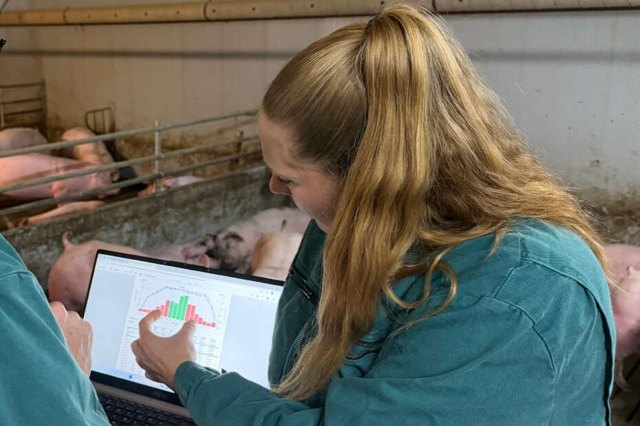 Eine Person im Schweinestall erläutert Diagramme auf einem Tablet.