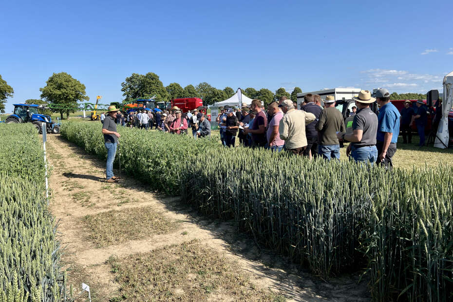 Besucher beim Feldtag in Eldagsen 2025