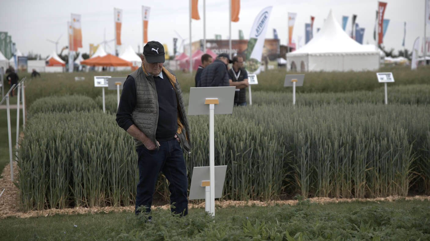 Impressionen der DLG-Feldtage 2026