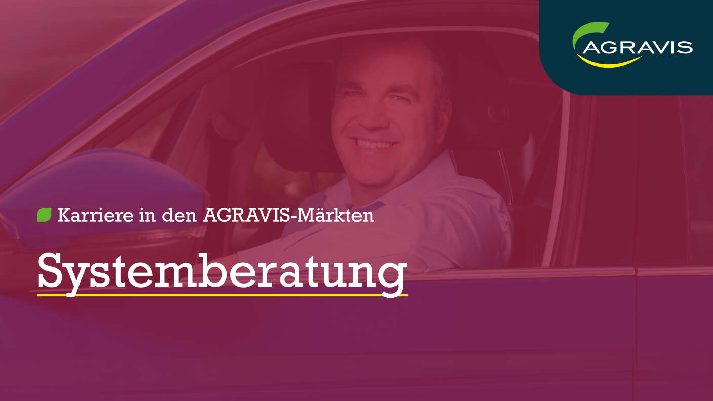 Systemberatung