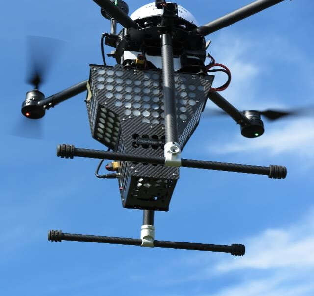 Eine Drohne bringt Schlupfwespen gegen Maiszünsler aus.