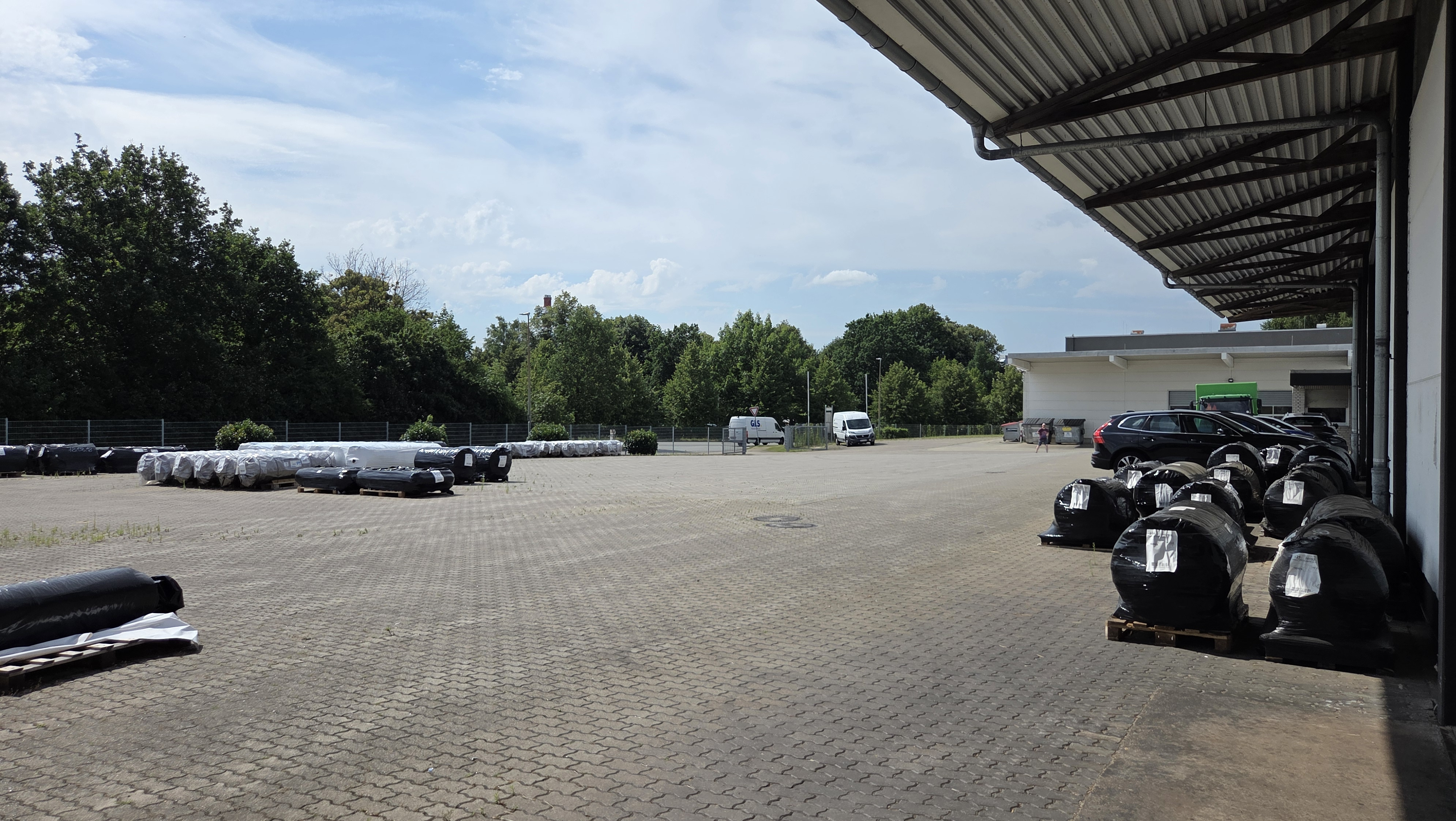 55437731