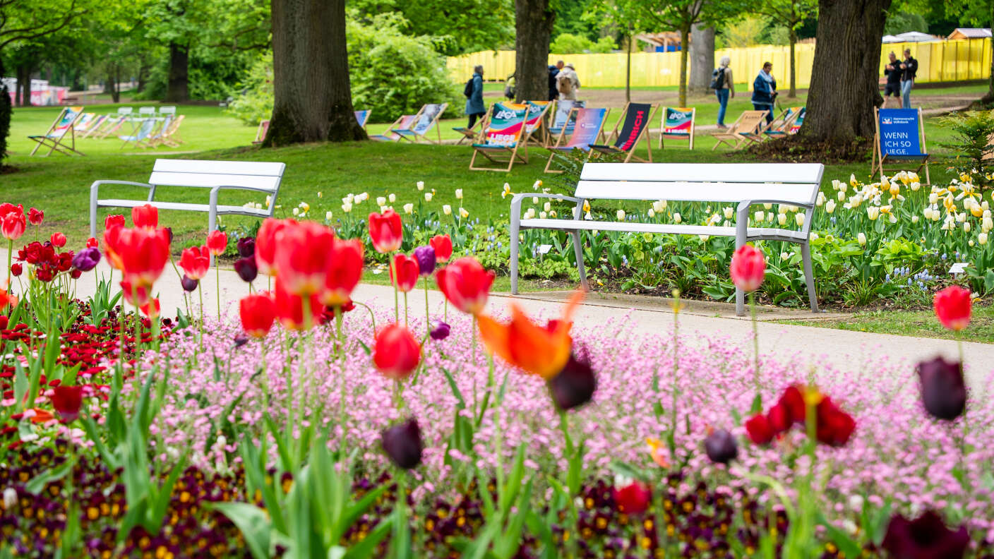 Blühende Tulpenbeete in einer Parkanlage mit weißer Bank und Spazierweg im Hintergrund.