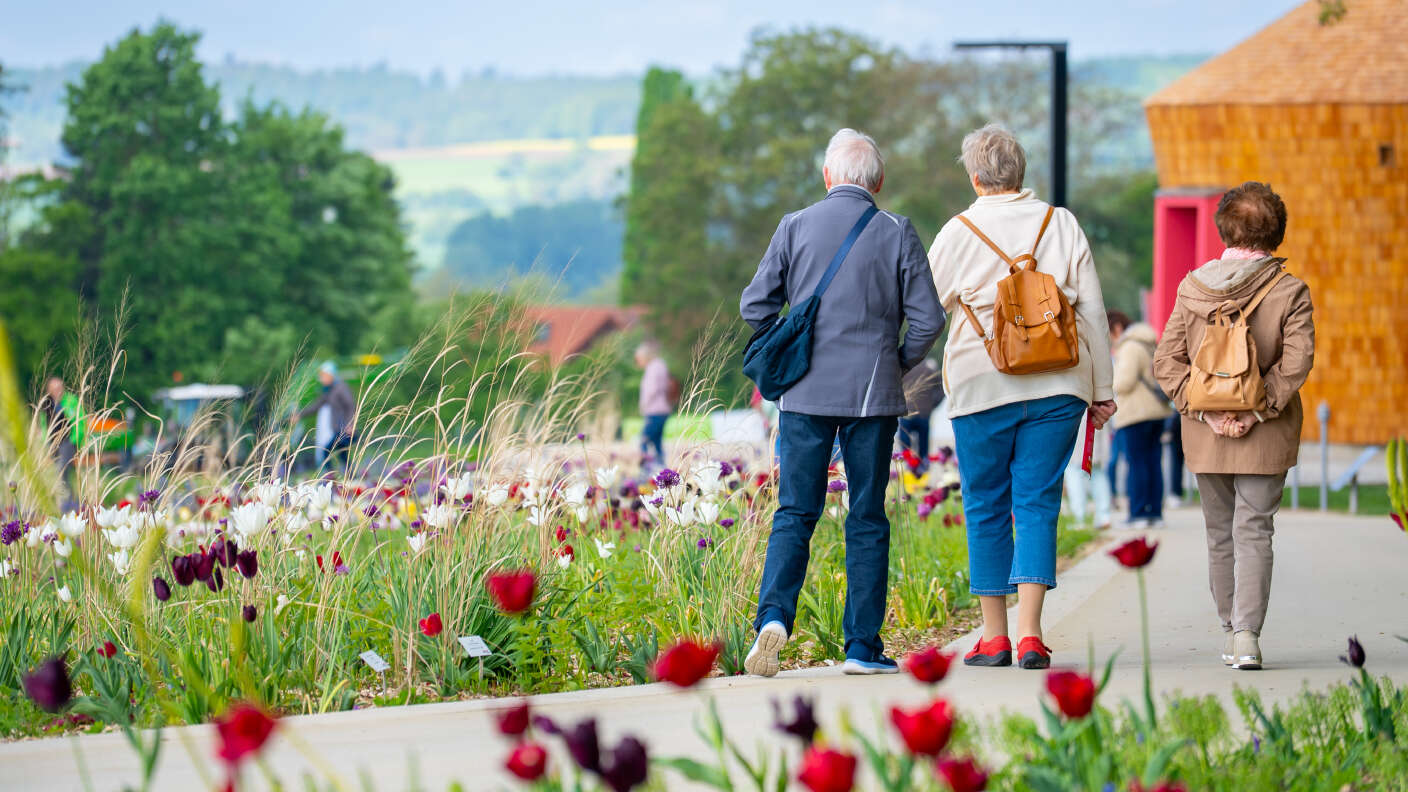 Drei Personen auf einem Weg entlang eines Blumenbeets mit Tulpen in einer Parklandschaft