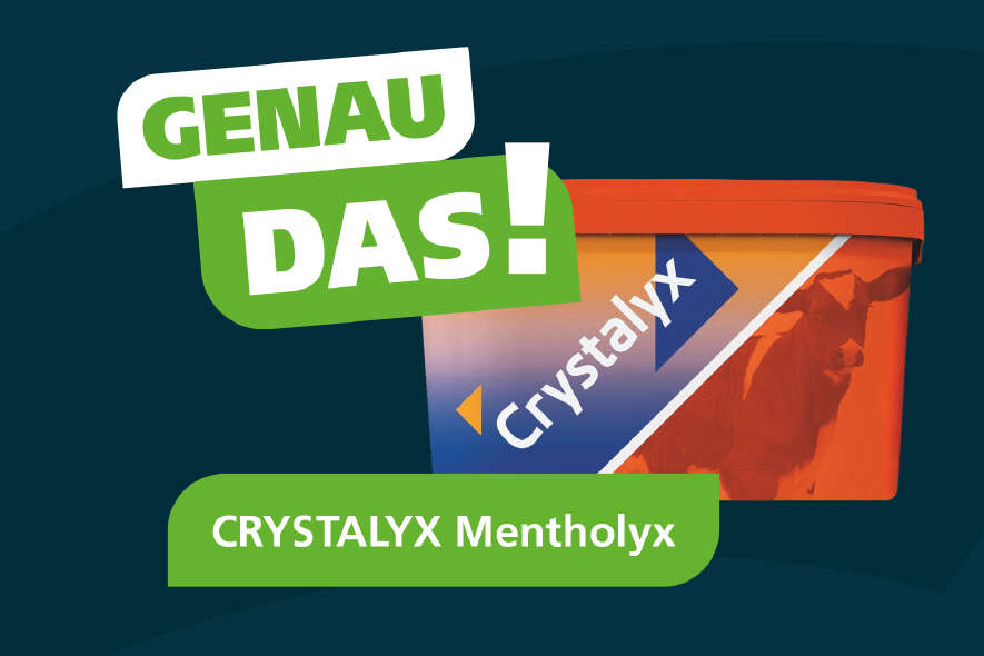 Ein orangener Kübel von Crystalyx vor blauem Grund
