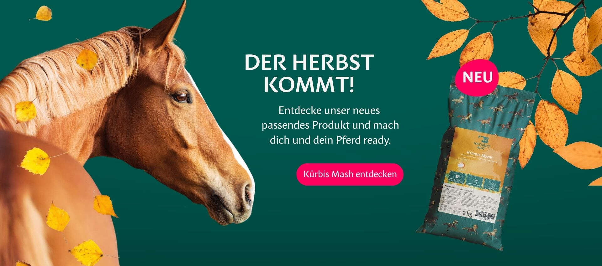 Kürbis Mash für Pferde im Herbst | Nature's Best Pferdefutter