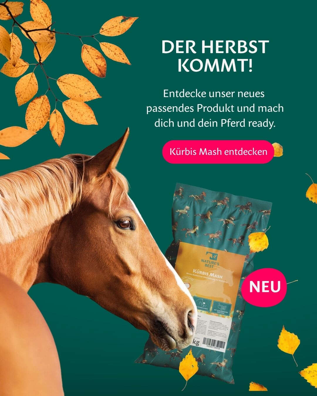 Kürbis Mash für Pferde im Herbst | Nature's Best Pferdefutter