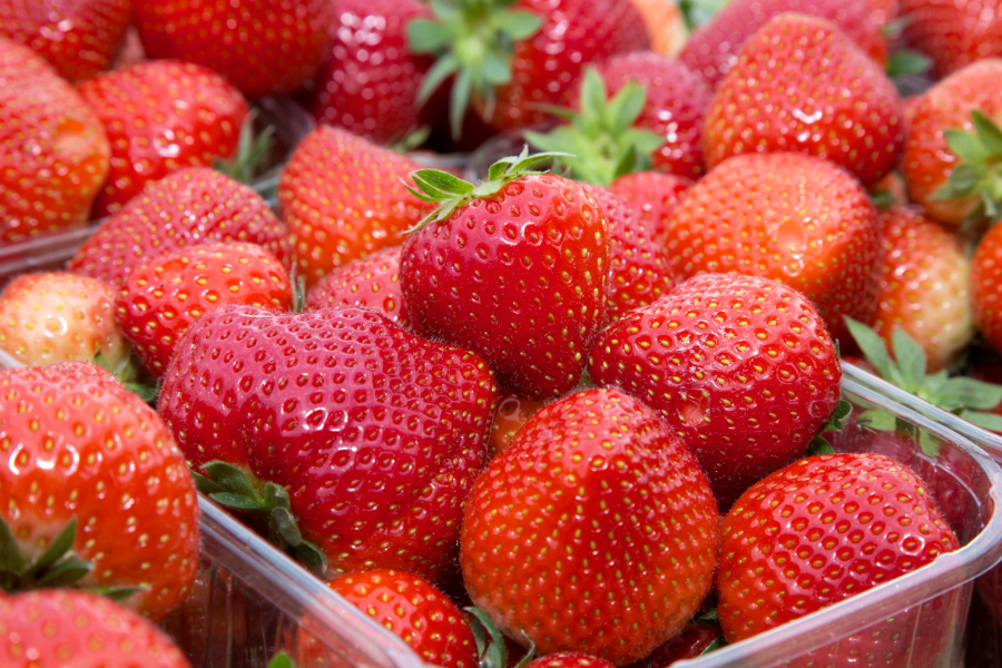 Sonderkulturen Erdbeeren
