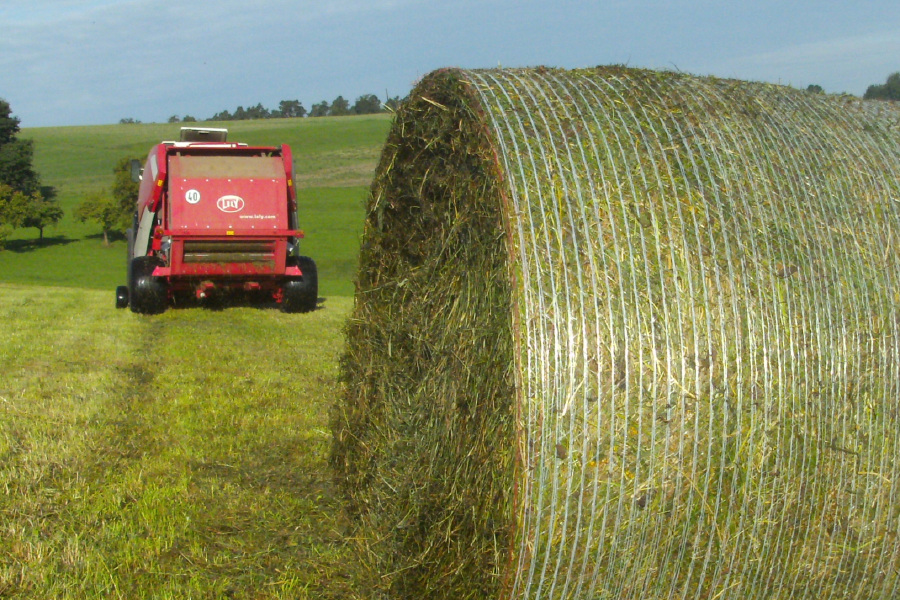 Rundballen auf Feld Netze