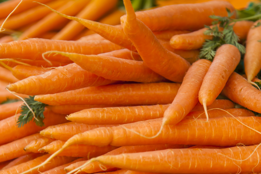 Sonderkulturen Möhren Karotten