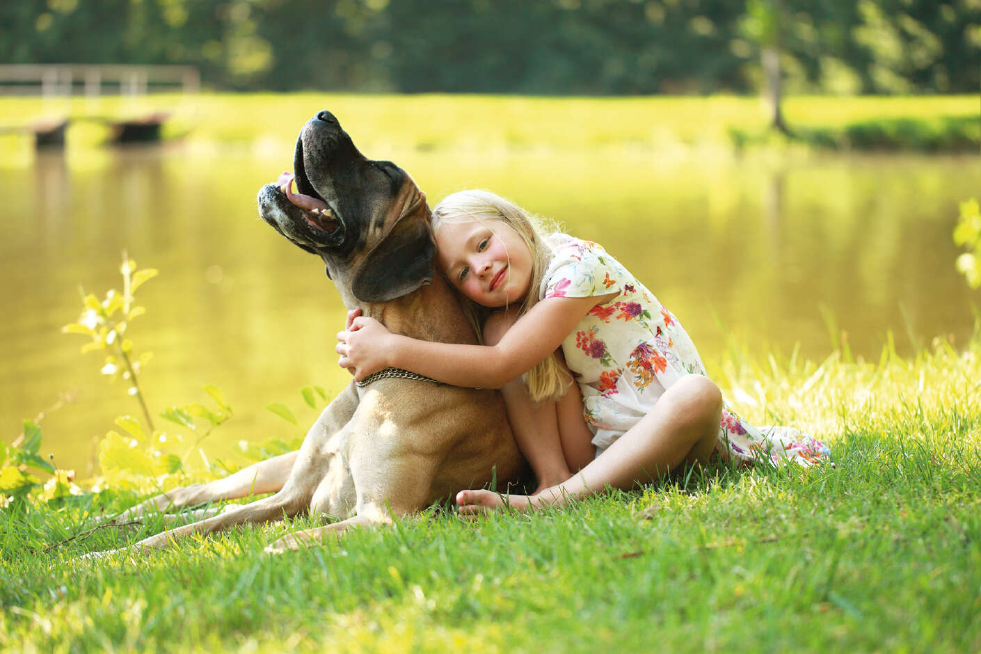 Mädchen liegt mit ihrem Hund auf einer Wiese und umarmt ihn